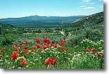 Juab County