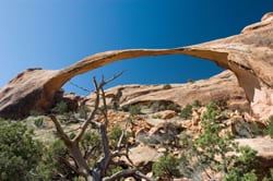 Landscape Arch