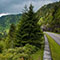 Blue Ridge Parkway Scavenger Hunt