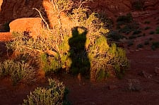 Photography in Bryce Canyon