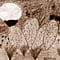 Plant Adaptations
