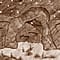 Physical Features of the Earth